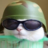 captain