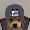 captain