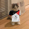 captain