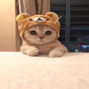 captain
